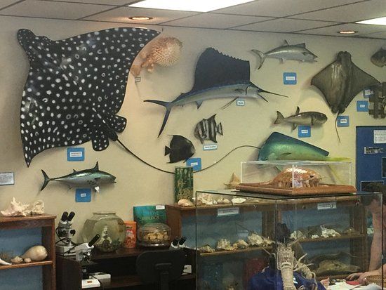 Ostego Bay Marine Science Center